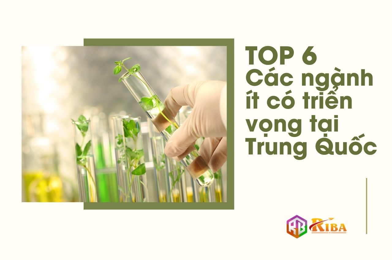 cac-nganh-it-co-trien-vong-tai-trung-quoc