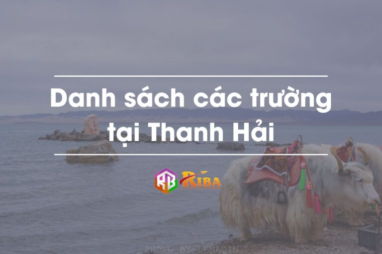 danh sach cac truong tai thanh hai