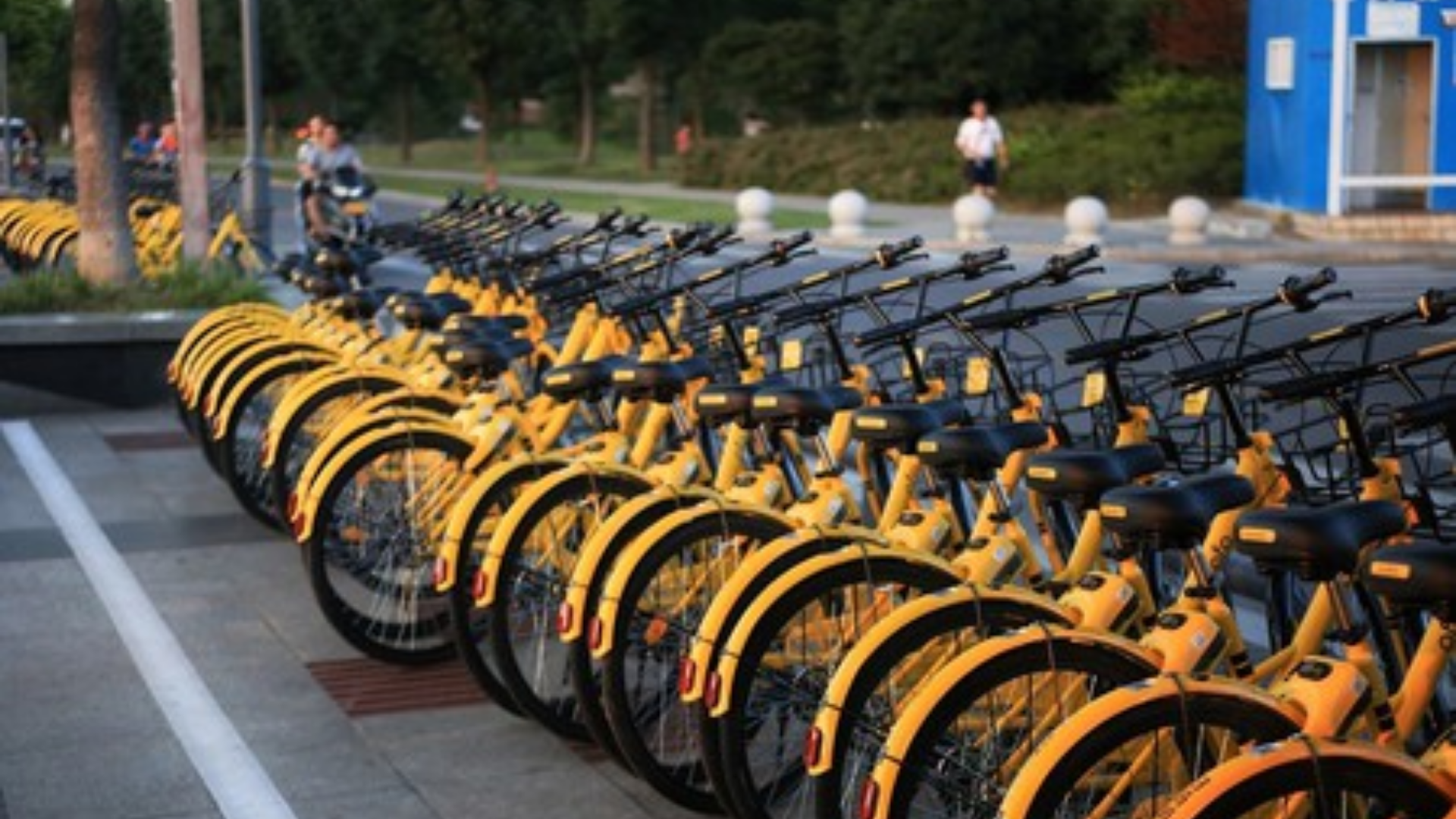 Tips sử dụng ứng dụng thuê xe đạp tại Trung Quốc - Riba.vn