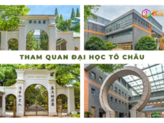 THAM QUAN ĐẠI HỌC TÔ CHÂU - Riba.vn