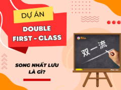 Dự án Double First-Class – Song nhất Lưu là gì?