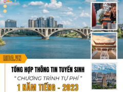 Tổng hợp thông tin tuyển sinh chương trình 1 năm tiếng tự phí 2023