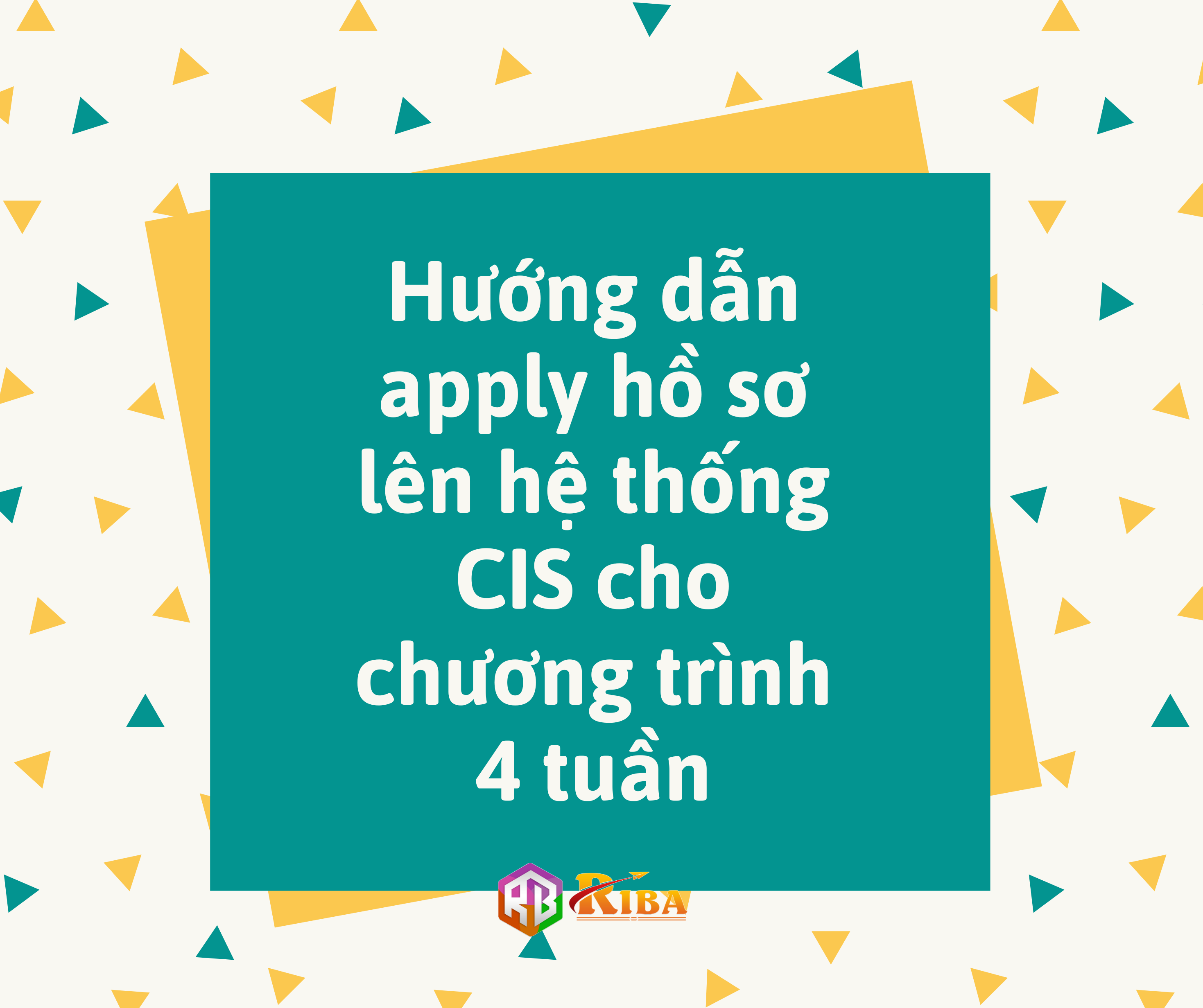 Hướng dẫn apply hồ sơ lên hệ thống CIS cho chương trình 4 tuần