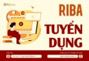 Riba Tuyển dụng