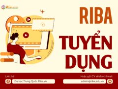 Riba Tuyển dụng