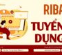 Riba Tuyển dụng