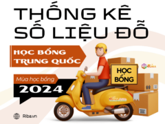 Thống kê số liệu đỗ học bổng Trung Quốc 2024