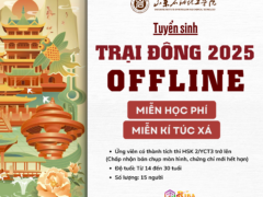 tuyển sinh trại đông offline 2025