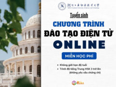 Đào tạo Điện tử Online