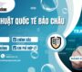 Dịch thuật Quốc tế Bảo Châu tuyển dụng